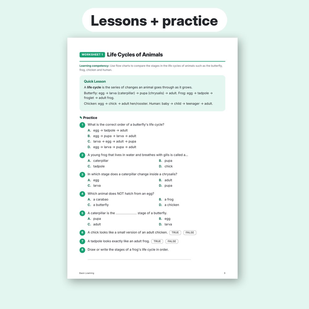 Grade 4 Science Reviewer, Term 2 sample worksheet page