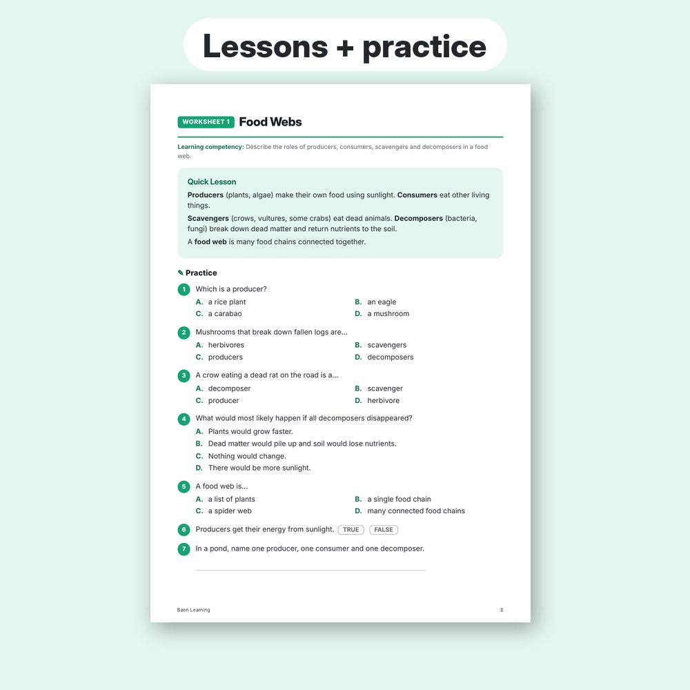 Grade 6 Science Reviewer, Term 2 sample worksheet page