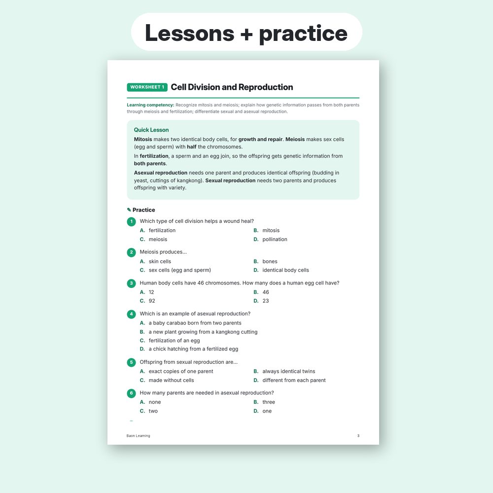 Grade 7 Science Reviewer, Term 2 sample worksheet page